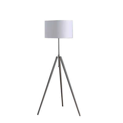 Denegar 64'' Tripod Floor Lamp