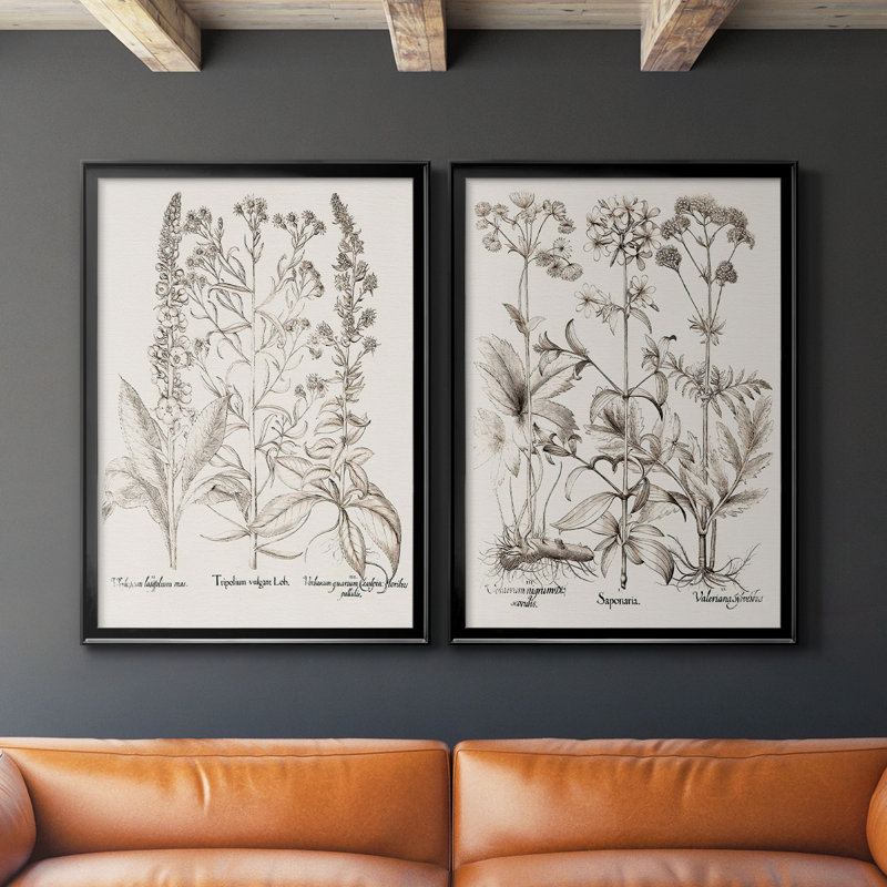 Sépia Besler Botanicals IX - ensemble de 2 reproductions d'art sur toile encadrées, H 41,25 po x l 61 po x P 1,25 po, Noir