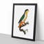 Black-Headed Parrot by F. Levaillant - Picture Frame Art Print-55512548-55512549