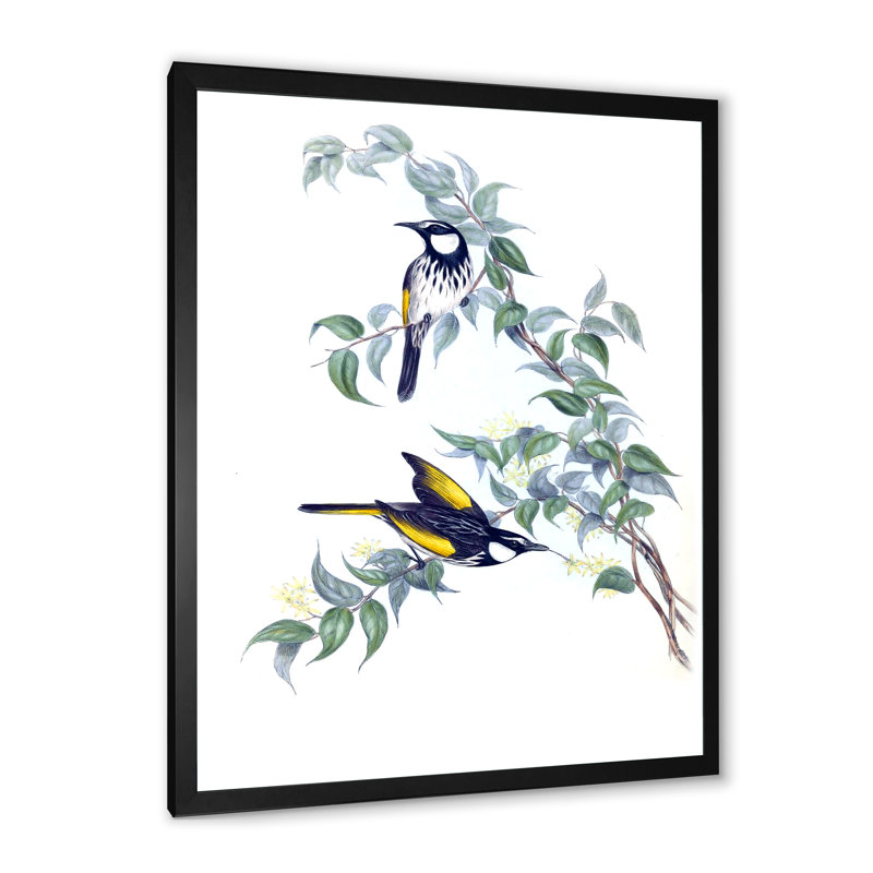 Oiseaux australiens rétro sur une branche - peinture sur toile, Cadre photo noir, H 32 po x l 24 po x P 1 po