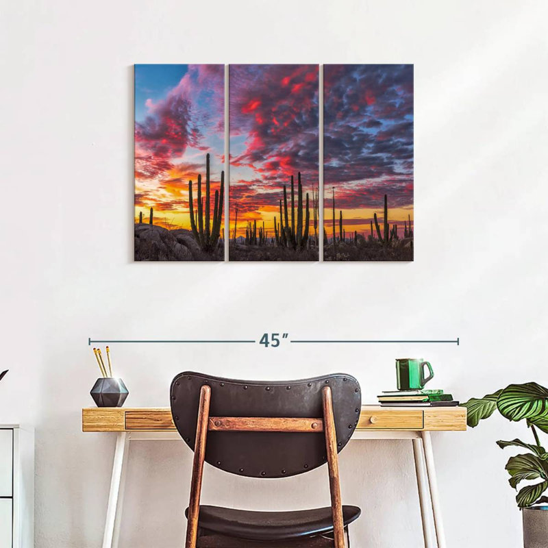 Nature, "Impression sur toile de forêt de cactus de la Basse-Californie" sur, H 24 po x l 38 po x P 1,25 po