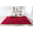 Indoor Rug-24844842