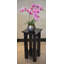 Support pour plante Damius-448299374