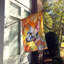 Chat en feuilles d'automne-112700522