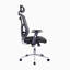 Fauteuil de direction haut dossier en filet avec accoudoirs, support lombaire et base chromée