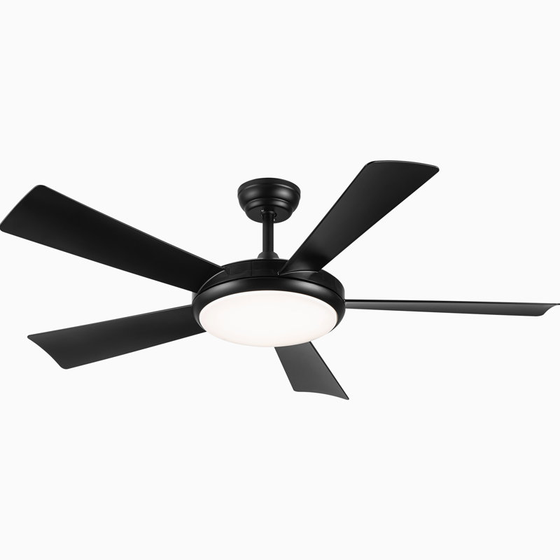 51.96'' Ceiling Fan with LED Lights, Black