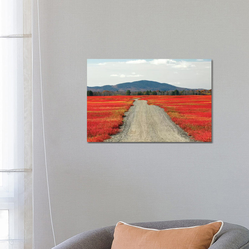 Blueberry Field And Road In Autumn, Deblois, Maine by Scott Leslie - Wrapped Canvas Print, 66.04 cm H x 45.72 cm W