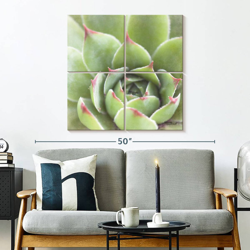 Harnek Garden Succulents III