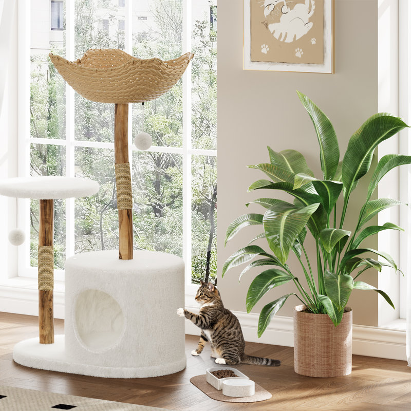 Arbre à chat moderne, poteau à griffer pour chat avec lit pour chat d'intérieur en osier naturel