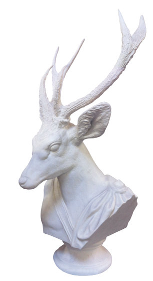 Bust