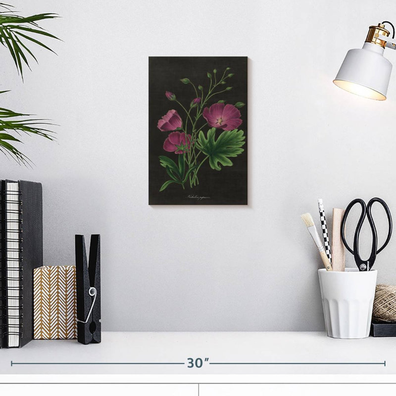 Harnek botanique sur carte noire II, H 12 po x l 8 po