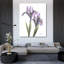 Art sur toile tendu Lark Manor ™, Koetsier, Albert, iris mauve-1563552339