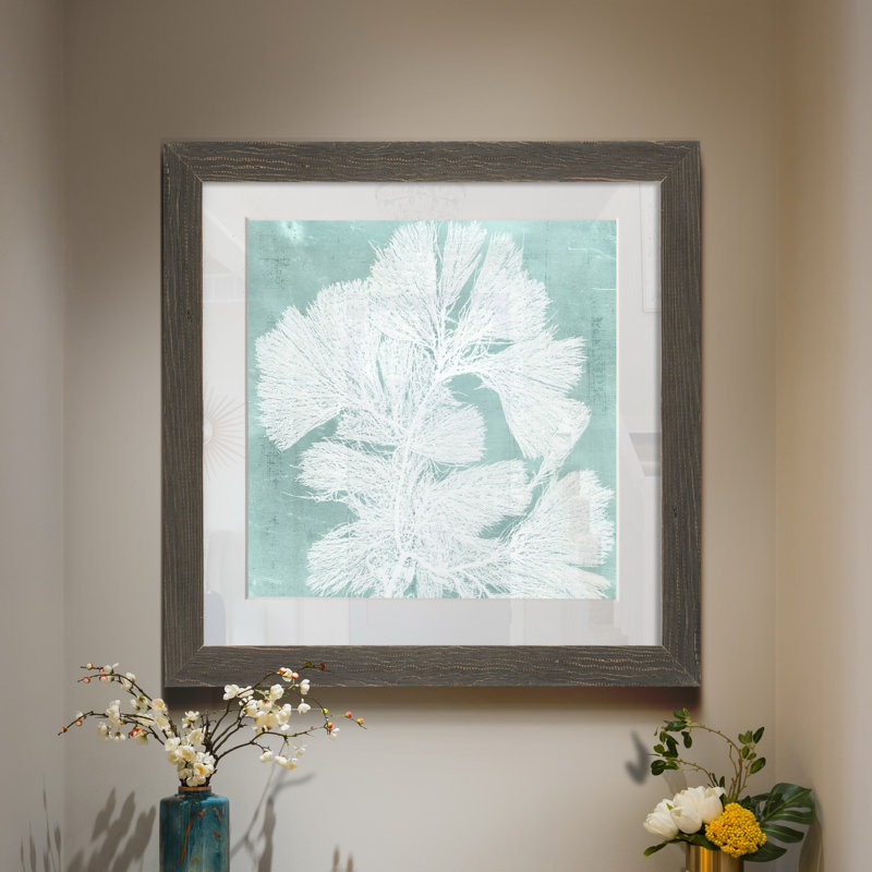Algue sur Aqua IV-impression encadrée sur papier, H 31,5 po x l 31,5 po x P 1,5 po, Grey Framed Paper, Blanc mat
