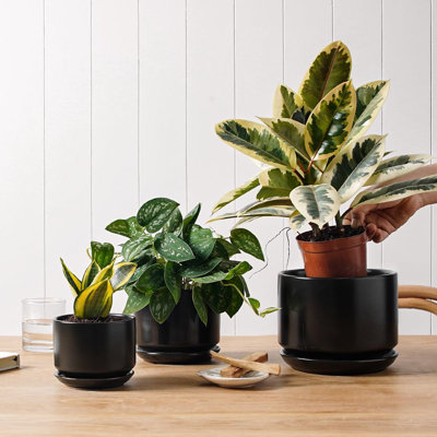 Ceramic Plant Pots with Drainage Hole and Sauce