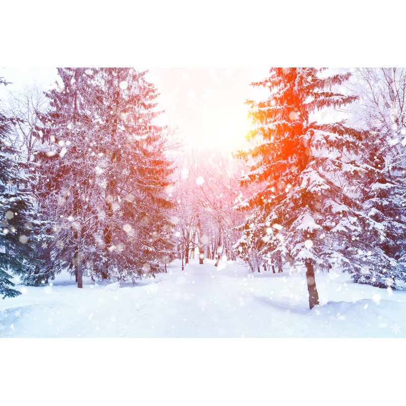 Annaruth Branches Covered With Snow - Wrapped Canvas Print, 30cm H x 46cm W x 3.8cm D