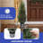 2 pcs 4ft Artificial Cypress Tree, Outdoor Artificial Cypress Tree Potted Plants with Red Berries