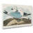 Two Kittiwake Gulls by John Audubon - Wrapped Canvas Painting-55372150