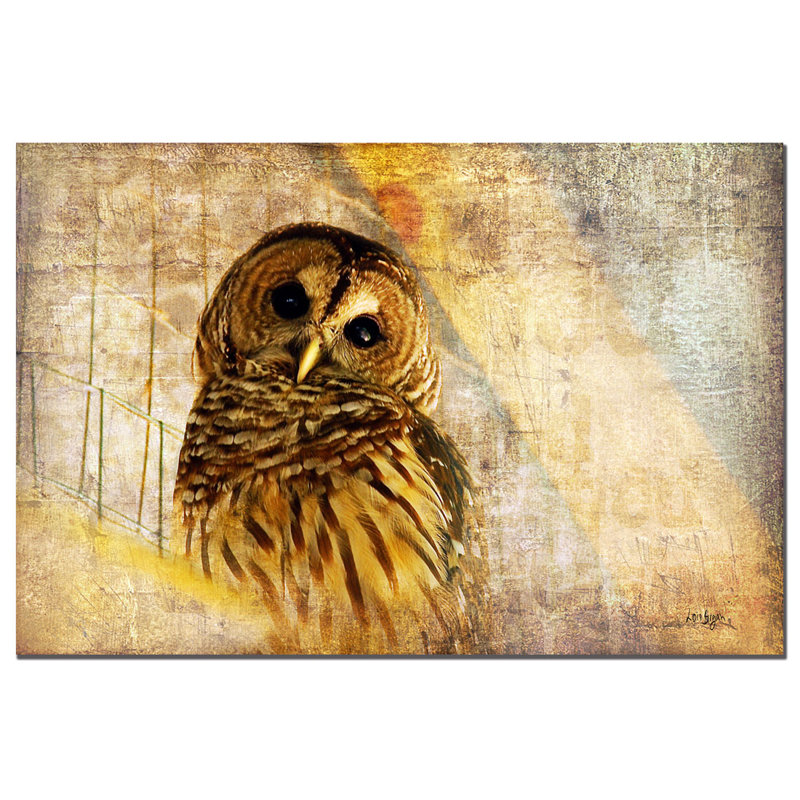 Framed Barred Owl Canvas Art in Warm Tones