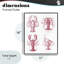 Estampe numérique Timeless Lobsters Species, design par lettres et doublure-839080022-839080020