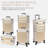 Stylish Rolling Makeup Case With Wheels, 5-In-1 Transformable Cosmetic Trolley With Crystals