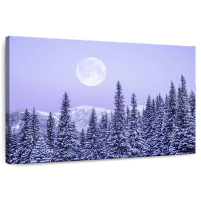 Winter Moonrise