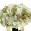 Hydrangea Holiday Arrangement Bundle-1845702071