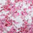 Betsey Johnson Floral Vineyard Reversible Quilt Set-82704776-82704777