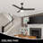 Derf 52 Pull Chain Ceiling Fan with Light