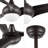 Coleigh 52'' Ceiling Fan with LED Lights-2010980607