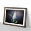 Hummingbird Bird in Flight in Abstract - Picture Frame Painting Print on MDF-55763876-55763871