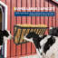 Roosting Bars / Frames-1016437160
