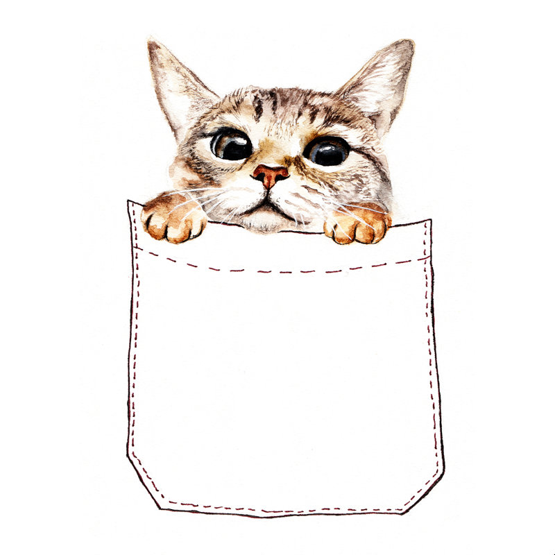 Chat de poche - impression, H 12 po x l 12 po, Non, Cadre flottant noyer