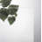 Planum Frosted Glass Standard Door Slab-48164293-48173771