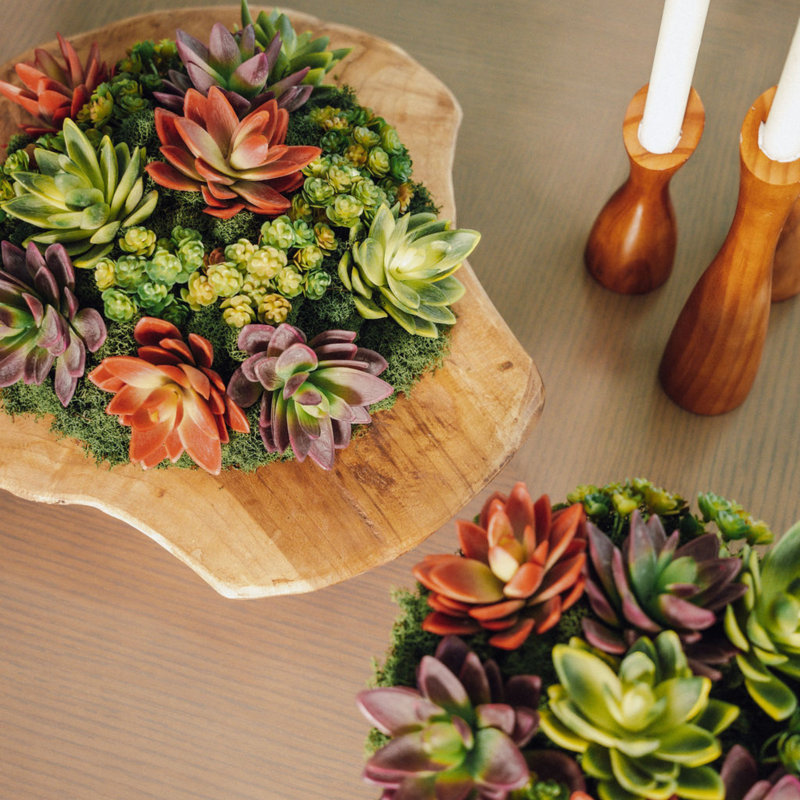 Mojave Wooden Bowl Succulent Arrangement
