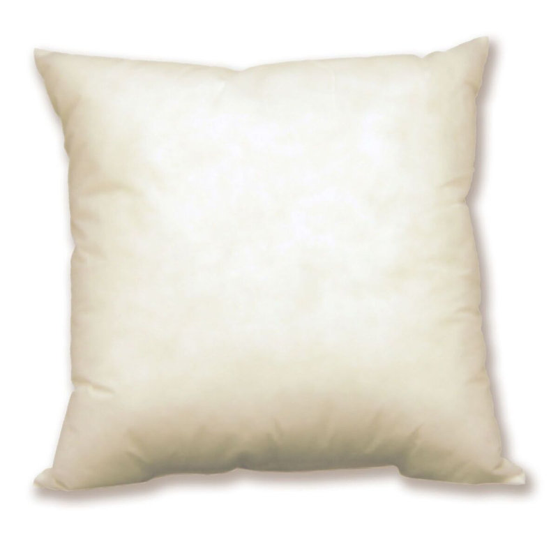 Aguon Solid Colour Pillow Insert, 20" x 20", Egret White
