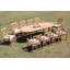 Hillpoint Outdoor 11 - Piece Teak Dining Set-1243552549-1324812567