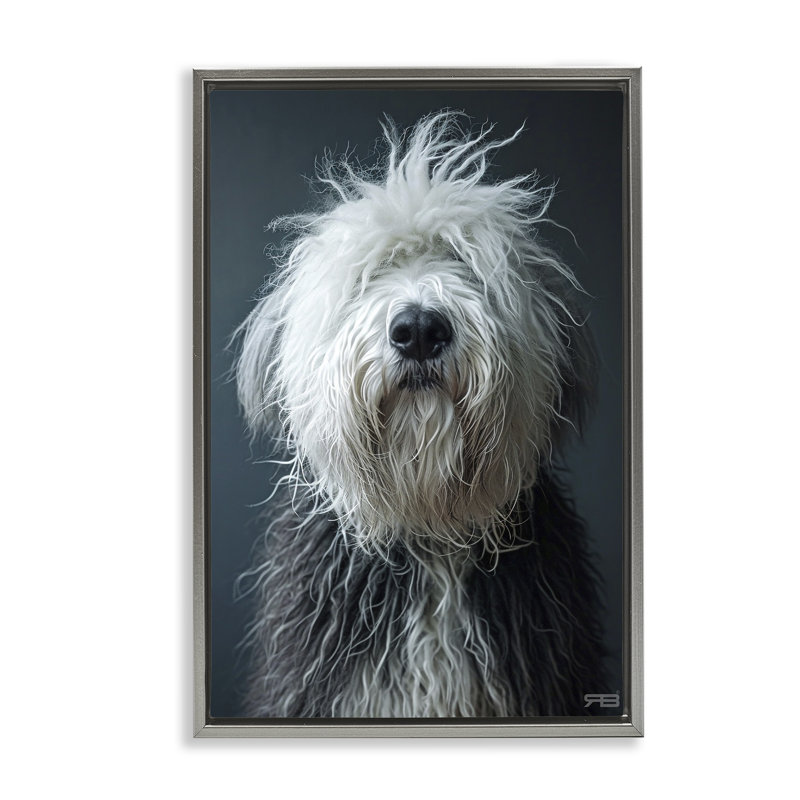 «Shaggy Pup Portrait», toile flottante encadrée par Roozbeh Bahramali, Cadre flottant gris lustré, H 25 po x l 17 po
