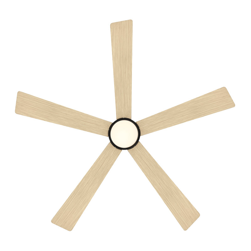 Ventilateur de plafond intelligent 54 "5CCT Oovin, Chêne blanc, Bronze