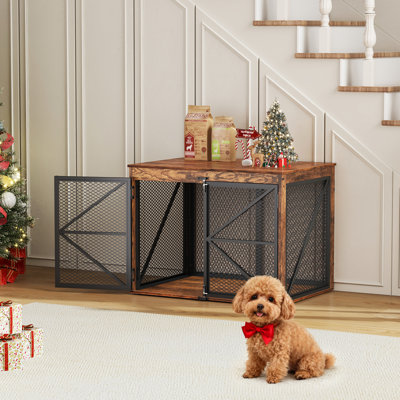 Caisse pour chien robuste