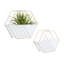 Ensemble de pots à fleurs muraux en fer 2 pièces Jacarius