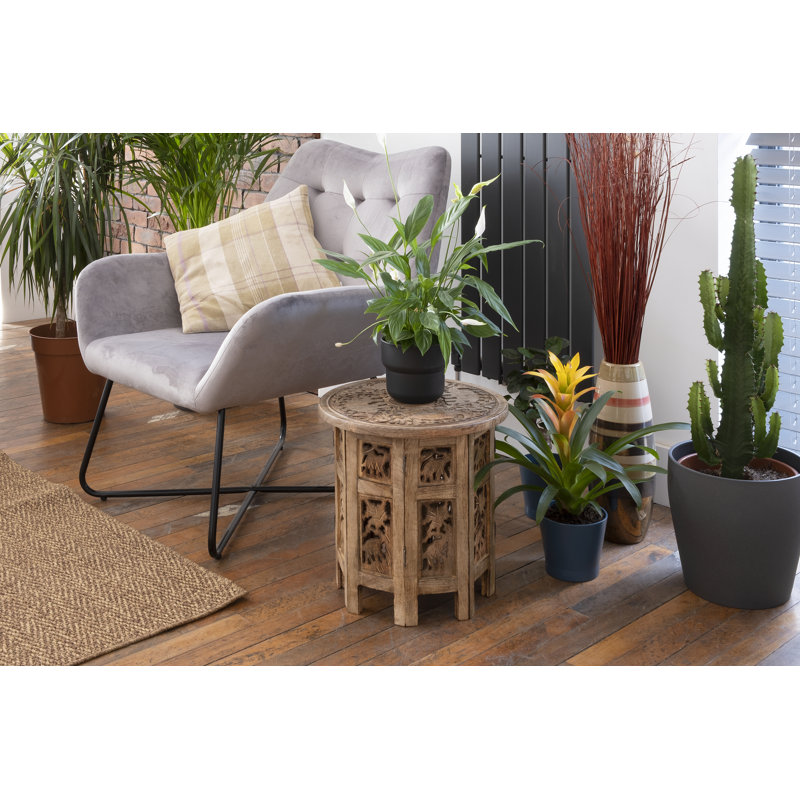 Beckette Solid Wood Frame End Table, Antique Brown, 38cm H x 38cm W x 38cm D