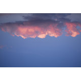 Pink Cloud Print by Francis Augustine