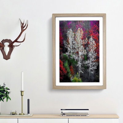 Autumn Trees in Switzerland - Framed Print