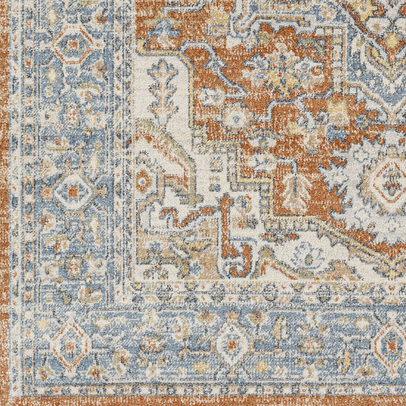 Bembry Washable Oriental Indoor Rug, Runner 2'7" x 7'3"
