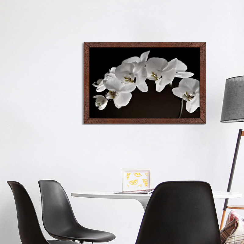 Orchids - Floater Frame Print on Canvas, 66.04 cm H x 45.72 cm W, Brown