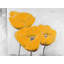 Ensemble de 4 napperons en polyester tressé - Trois fleurs jaunes-118251113