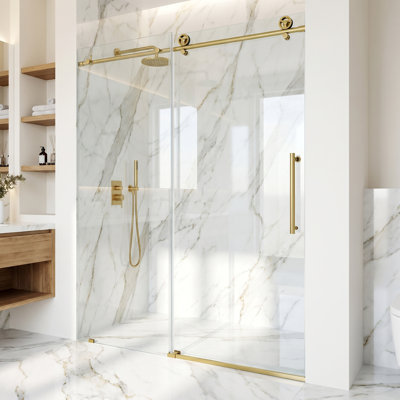 Cass 56-60" W x 76" H Sliding Frameless Shower Door with 3/8" Clear Glass