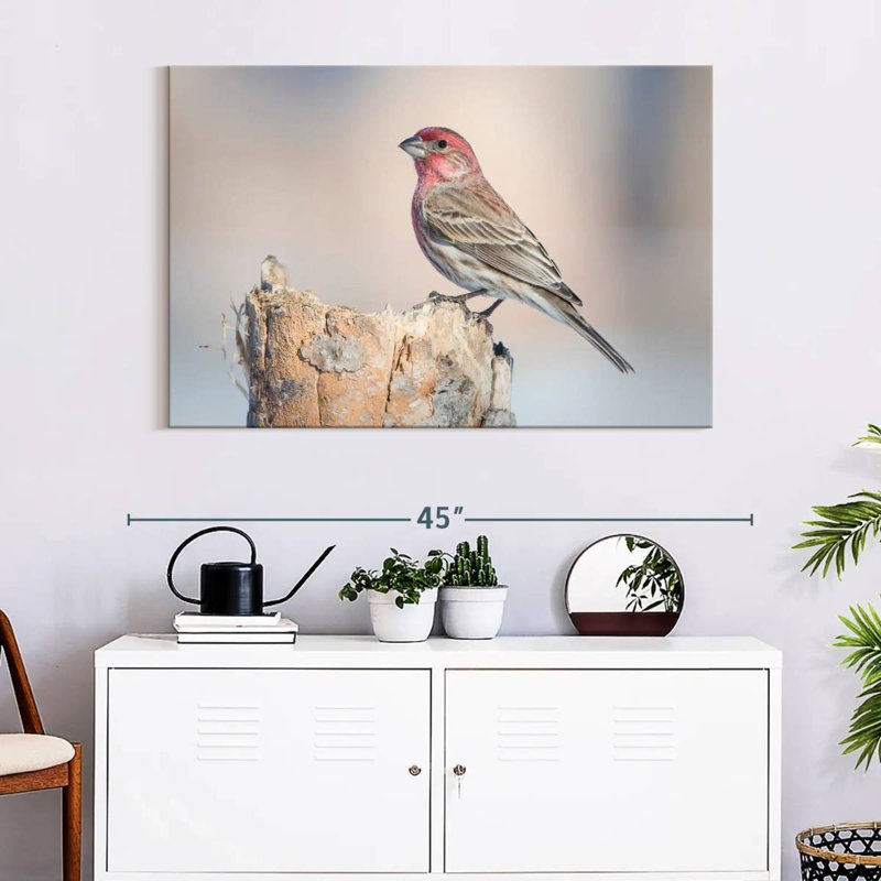 Crowle House Finch Bird, 26" H x 39" W