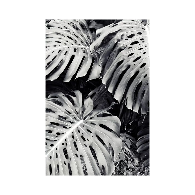 Monstera 1 Piece Wrapped Canvas Wall Art, 101.6 cm H x 66.04 cm W x 3.175 cm D