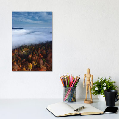 Foggy Forest Panoramic View By Majid Behzad - Wrapped Canvas Graphic Art by Majid Behzad - Wrapped Canvas Print